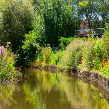 Lire la suite à propos de l’article Picardie 2025-04